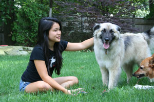Teen-Jobs-Pet-Sitting.jpg