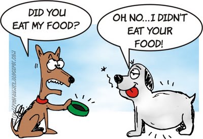 PaSi_Cartoon.jpg