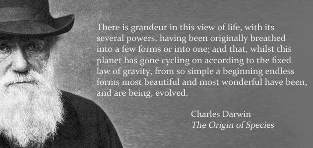 Charles-Darwin-1880-631-copy.jpg