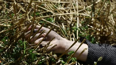 stock-footage-hand-of-a-dead-woman-on-empty-barley-field.jpg