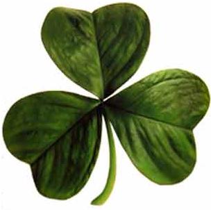 clover.jpg