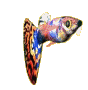 guppyfishanimation-38.gif