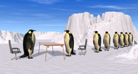 recruiting-interview.jpg