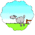 Sheep-01-june.gif