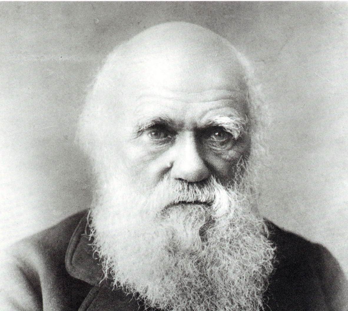 darwin-desktop.jpg